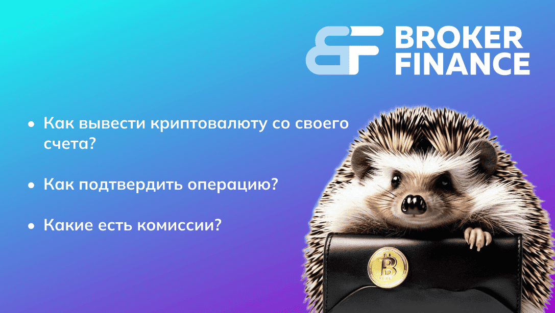 Как вывести криптовалюту из личного кабинета на сервисе Broker.finance