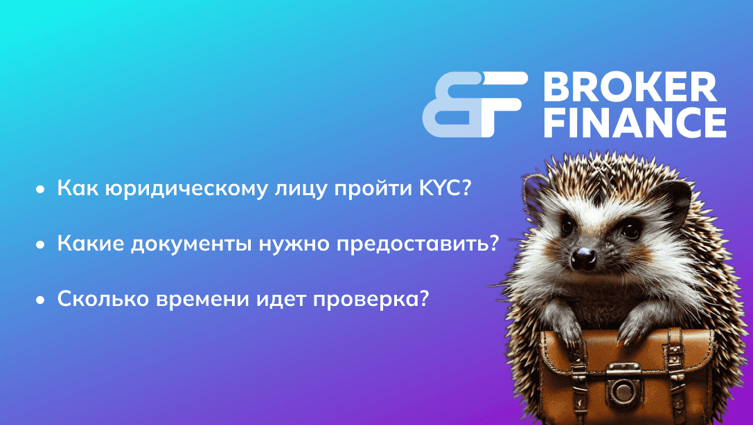 Регистрация юридических лиц на сервисе Broker Finance