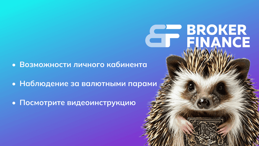 Как настроить личный кабинет Broker Finance?
